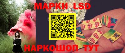 шишки Абакан