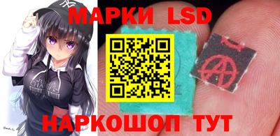 шишки Абакан