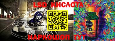 шишки Абакан