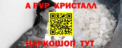 шишки Абакан