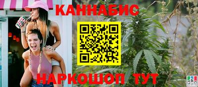 шишки Абакан