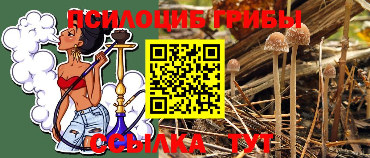 Псилоцибиновые грибы прущие грибы  Галлюциногенные грибы Psilocybine cubensis  Анапа  Вход с VPN 