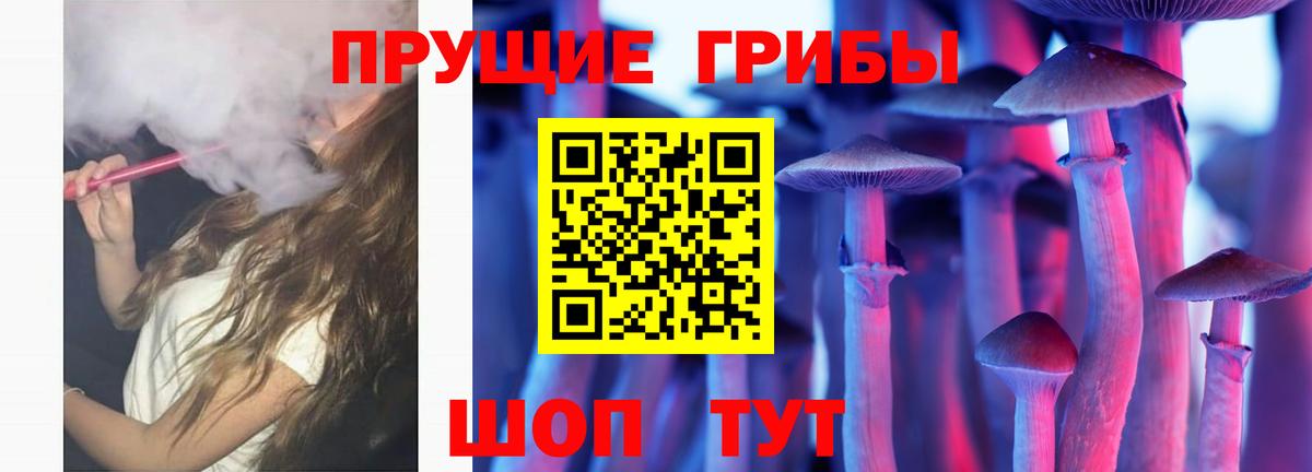 Псилоцибиновые грибы Cubensis Анапа